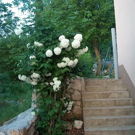 招待所 维拉佩特拉酒店